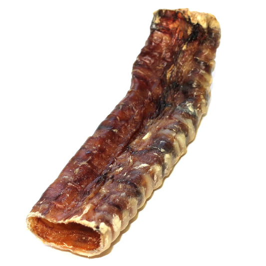 6" Beef Trachea