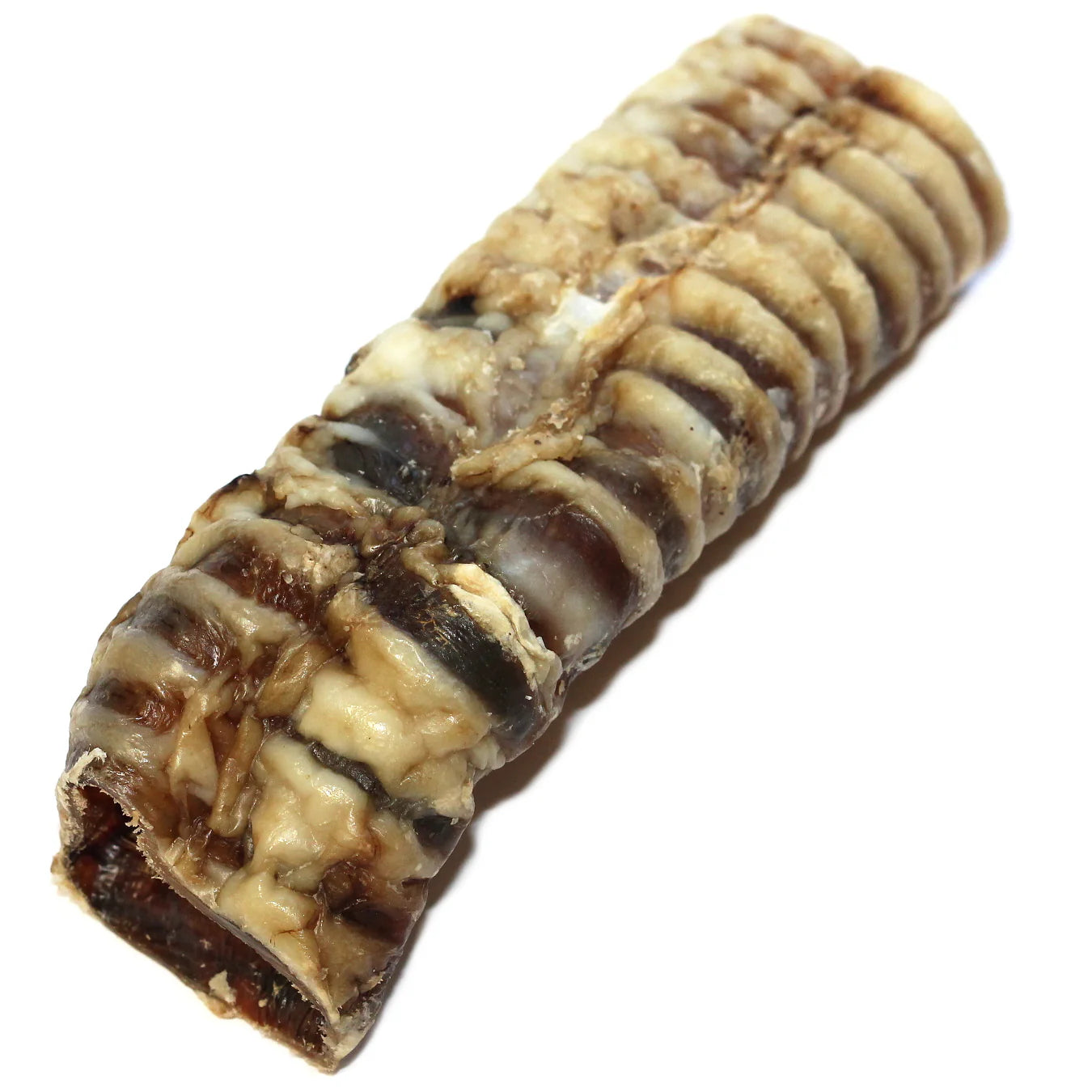 6" Beef Trachea